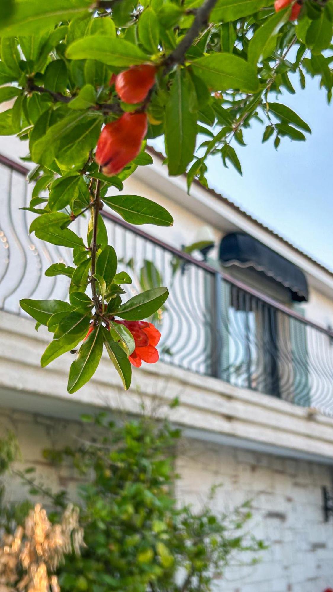 N Hotels Cesme Dalyankoy  Bagian luar foto